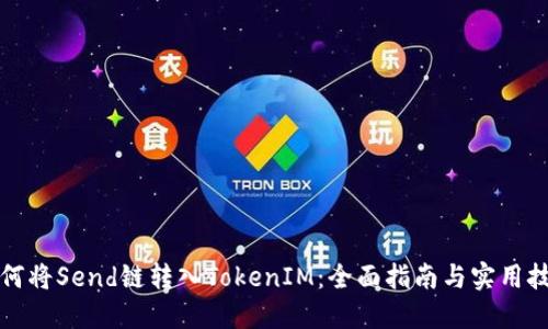 如何将Send链转入TokenIM：全面指南与实用技巧
