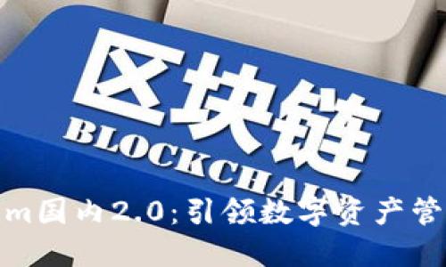 探索Tokenim国内2.0：引领数字资产管理的新潮流