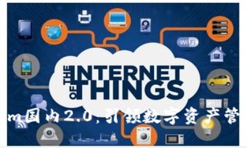 探索Tokenim国内2.0：引领数字资产管理的新潮流