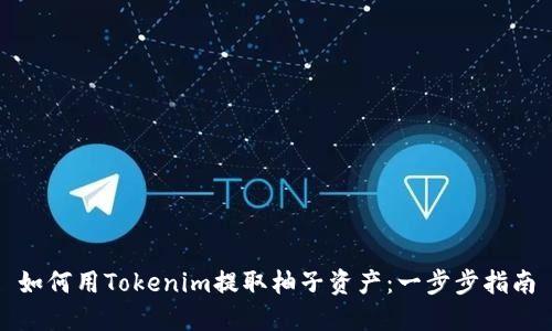 如何用Tokenim提取柚子资产：一步步指南