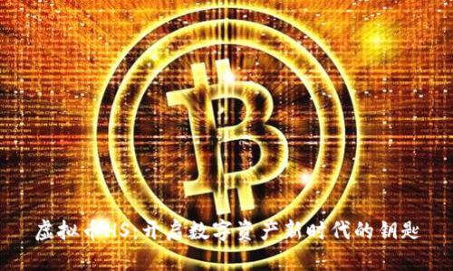 虚拟币HS：开启数字资产新时代的钥匙