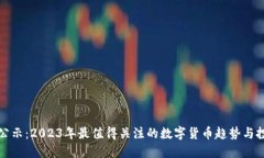 虚拟币公示：2023年最值得