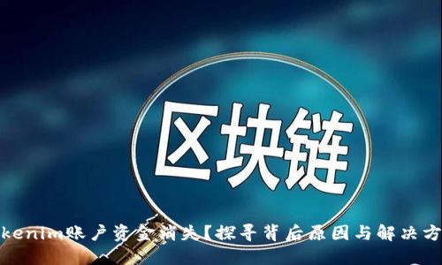 Tokenim账户资金消失？探寻背后原因与解决方案