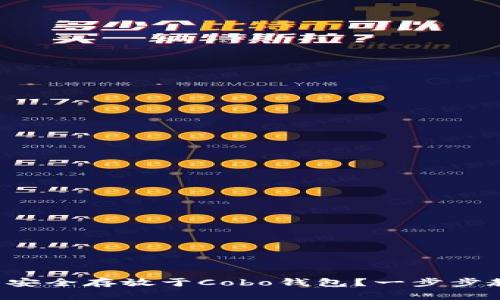 如何将虚拟币安全存放于Cobo钱包？一步步教你掌握技巧！