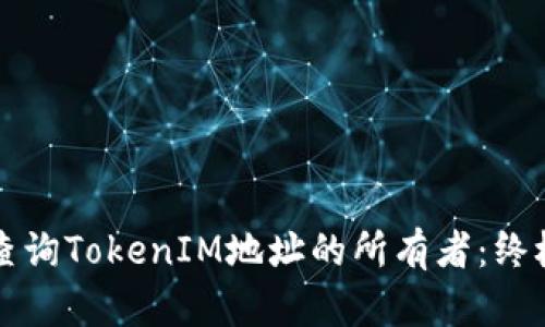 如何查询TokenIM地址的所有者：终极指南