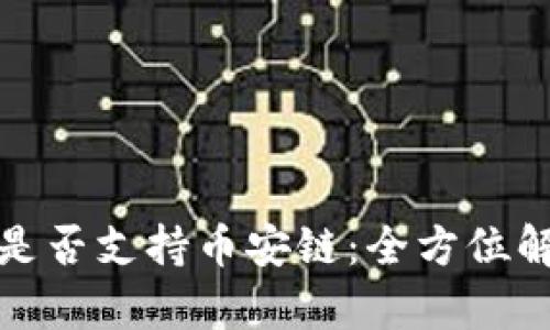 了解Tokenim是否支持币安链：全方位解析与用户指南
