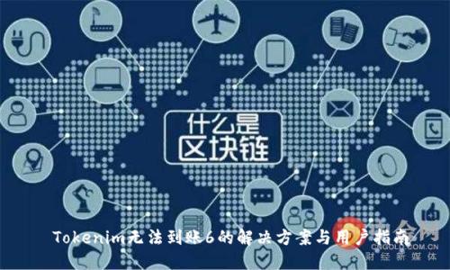  Tokenim无法到账6的解决方案与用户指南