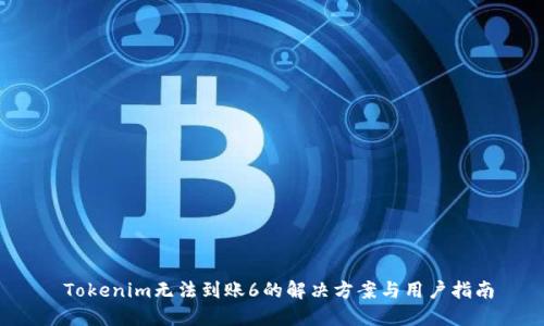  Tokenim无法到账6的解决方案与用户指南