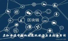 虚拟币在中国的发展现状