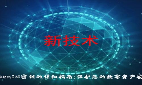 TokenIM密钥的详细指南：保护您的数字资产安全