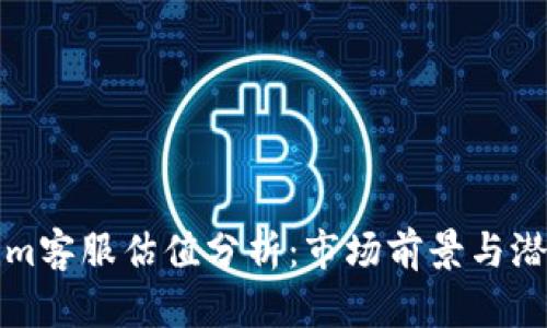 Tokenim客服估值分析：市场前景与潜力研究