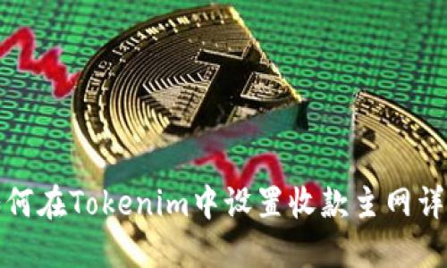 如何在Tokenim中设置收款主网详解