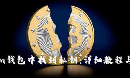 如何在Tokenim钱包中找到私钥：详细教程与常见问题解析