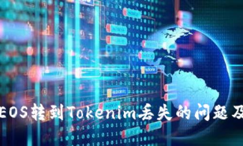 如何处理EOS转到Tokenim丢失的问题及解决方案