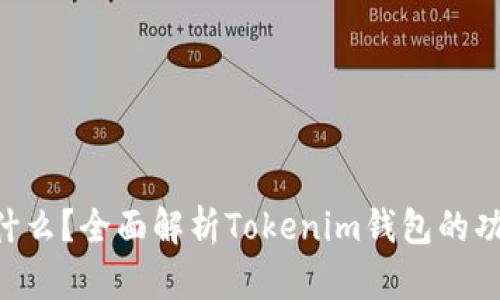 tokenim是什么？全面解析Tokenim钱包的功能与安全性