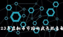 2023年虚拟币市场的疯长现