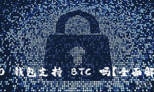 Tokenim 2.0 钱包支持 BTC 吗？全面解析点击了解！