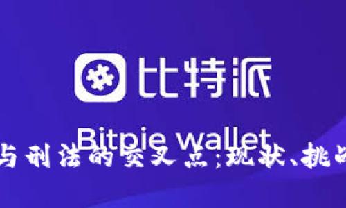 虚拟币与刑法的交叉点：现状、挑战与未来