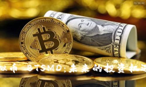 深入解析虚拟币 BTSMD：未来的投资机遇和潜在风险