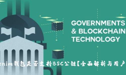 Tokenim钱包是否支持BSC公链？全面解析与用户指南