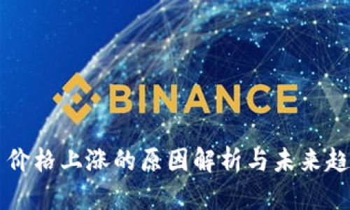 虚拟币价格上涨的原因解析与未来趋势分析
