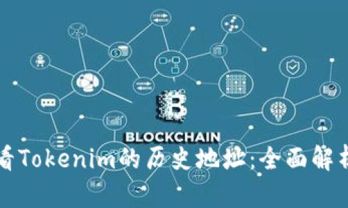 如何查看Tokenim的历史地址：全面解析与指南