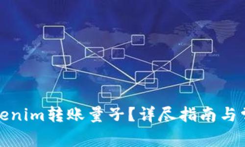 如何通过Tokenim转账量子？详尽指南与常见问题解答