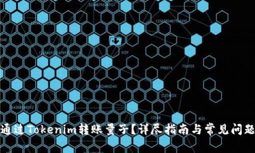 如何通过Tokenim转账量子？详尽指南与常见问题解答