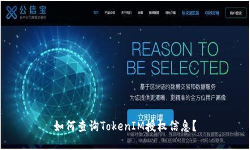 如何查询TokenIM授权信息？