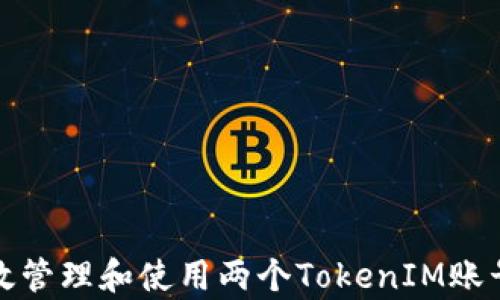 
如何有效管理和使用两个TokenIM账号的技巧